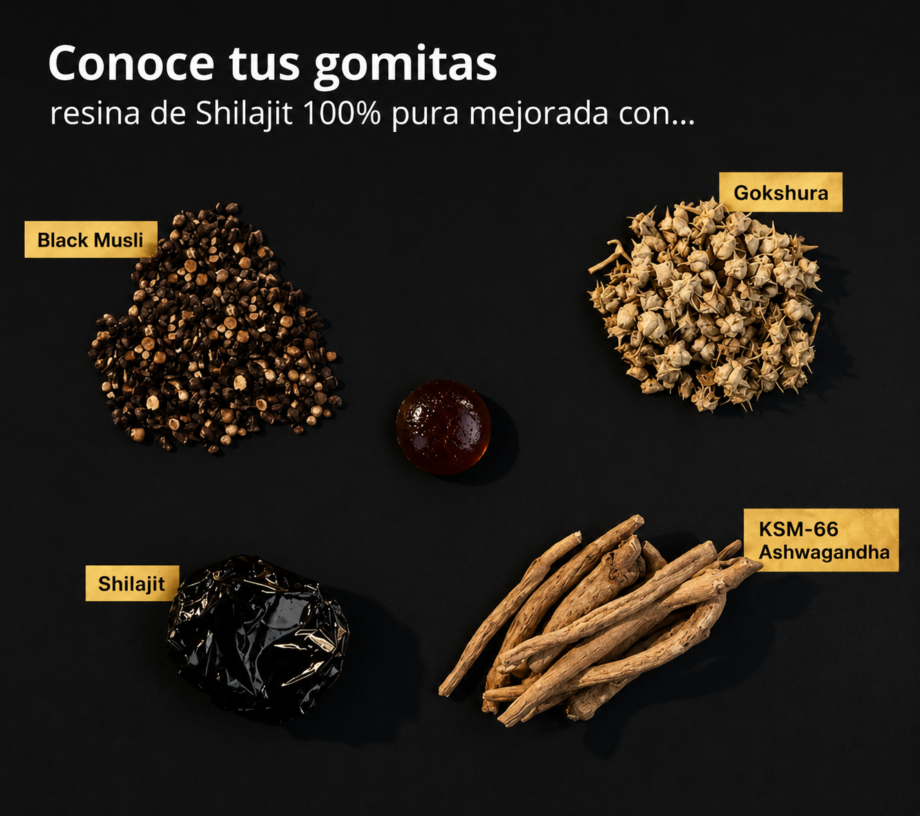 Shilajit Himalayo en Gominolas – 80 gominolas con Ashwagandha